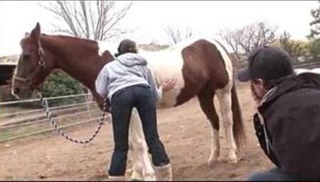 Cow Girls First Time Anal