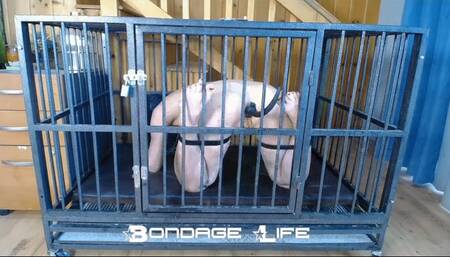 Cage Time With Chains