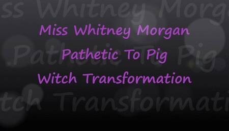 Pathetic To Pig: Witch Transformation