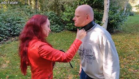 Walking My Pet Outdoor