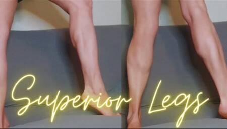SUPERIOR LEGS