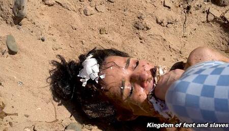 Hide in the sand, bitch! (HD 720p MP4)