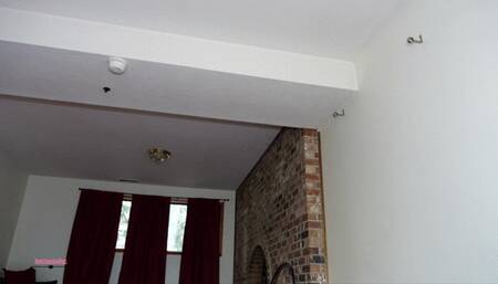 Dental and Cock Exam