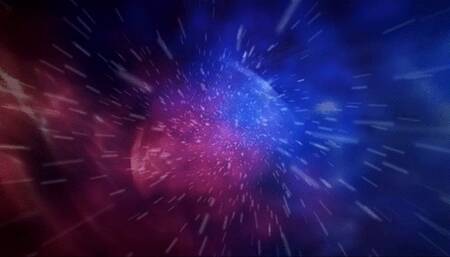 The Real Doll Service technician