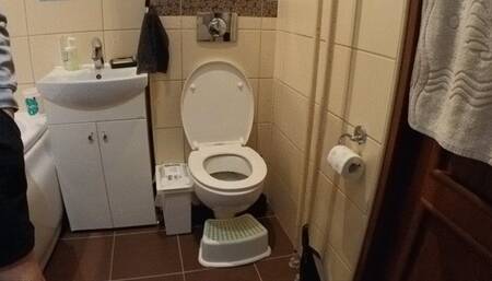 Not Diarrhea but still loose brownie - Long Toilet visit lot of pushing and groans