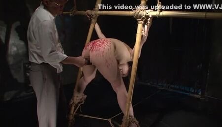 Sakura Oba in Female Cage 5 part 4.1