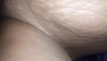 Doggy dala saddeta hikuwa