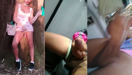 public compilation dotadasp