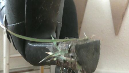 dirty boot heels and spit