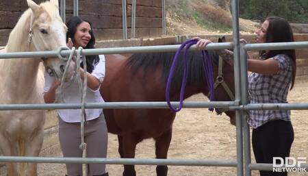 Missy Martinez & Lylith Lavey Are Horny & Wet AF While Fucking In The Barn