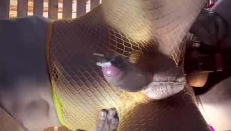 CUMSHOTS COMPILATION 4K