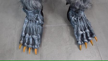 Werewolf Transformation on the Sanguine Moon