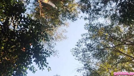 Dance Perverse Park france