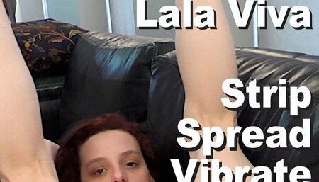 Lala Viva Strip Spread Vibrate