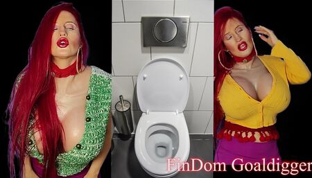 Transformation into Toilet Paper