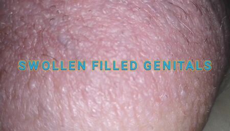 Swollen obscene filled silicone filled meat