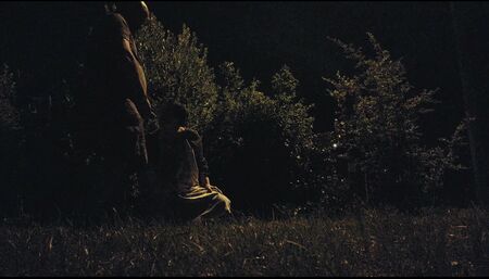 Night life of pissing whore