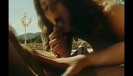 A Vacation in Ibiza -French classic