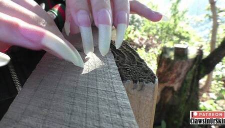 look at those nails scratches on the wood and tremble