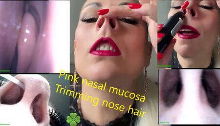 Nose hair cutting, pink nasal mucosa